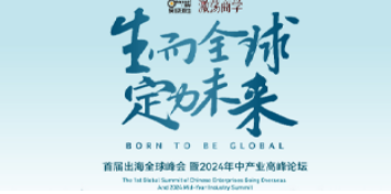 去新加坡考察项目需要什么?