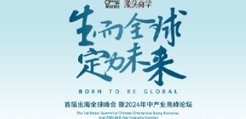 参访新加坡企业要求什么条件？