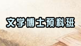 成人考进文学博士难吗？