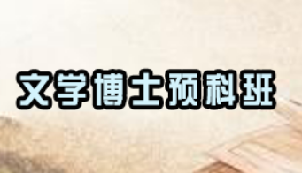 文学考博士需要什么条件？