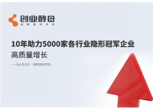 创业酵母怎么样：助力企业成长的实战专家