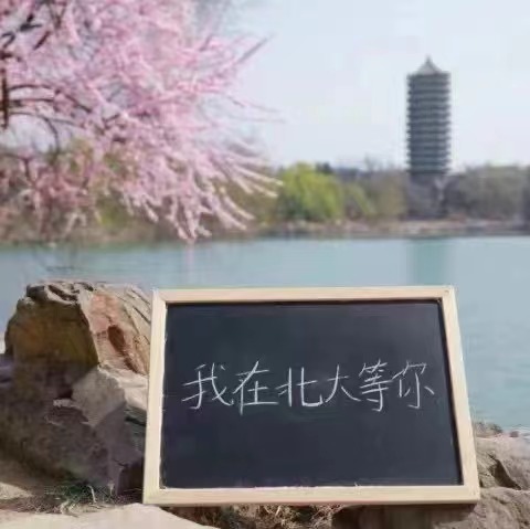 探索北京大学高端研修班：培养新时代中国企业家的摇篮