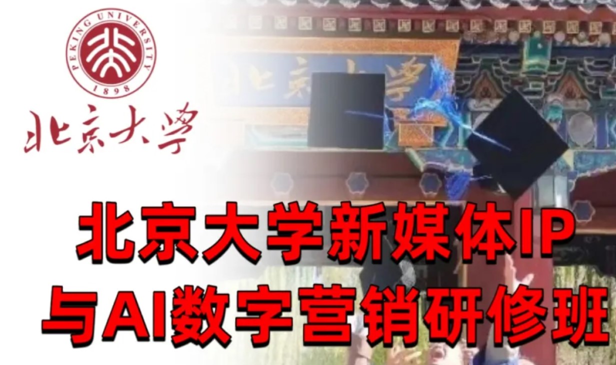 北京大学新媒体IP与数字营销研修班