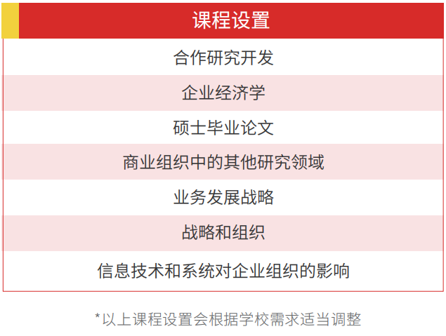 西班牙胡安卡洛斯国王大学企业组织官方硕士