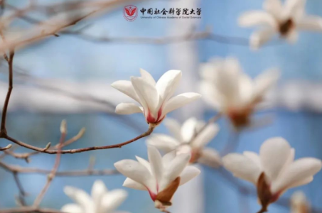 全日制博士也好，在职博士也罢，如何跨过普刊/核心期刊这个环节，今天给你答案