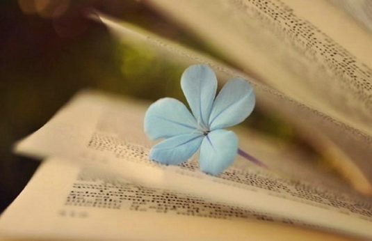 湖南报考高起专选哪家？