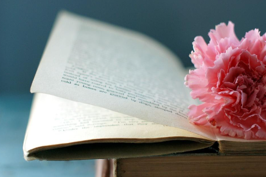 昆明冶金高等专科函授怎么样？