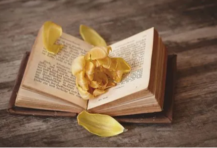 昆明艺术职业学院专科含金量咋样？