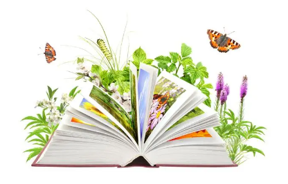 云南大学自学考试培训重要性介绍