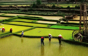 2024农业工程博士招生介绍