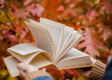 2024辽宁函授本科能参加法考吗?