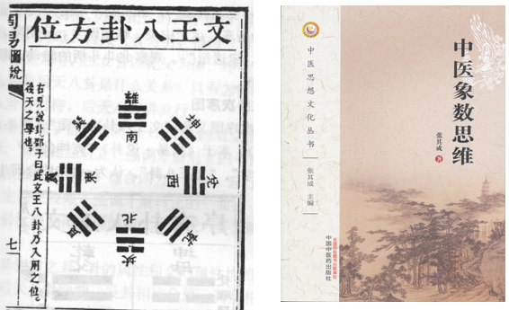 张其成教授中华文化的生命智慧