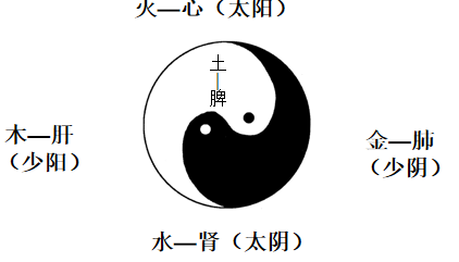 张其成教授中华文化的生命智慧