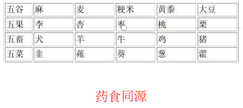 张其成教授中华文化的生命智慧