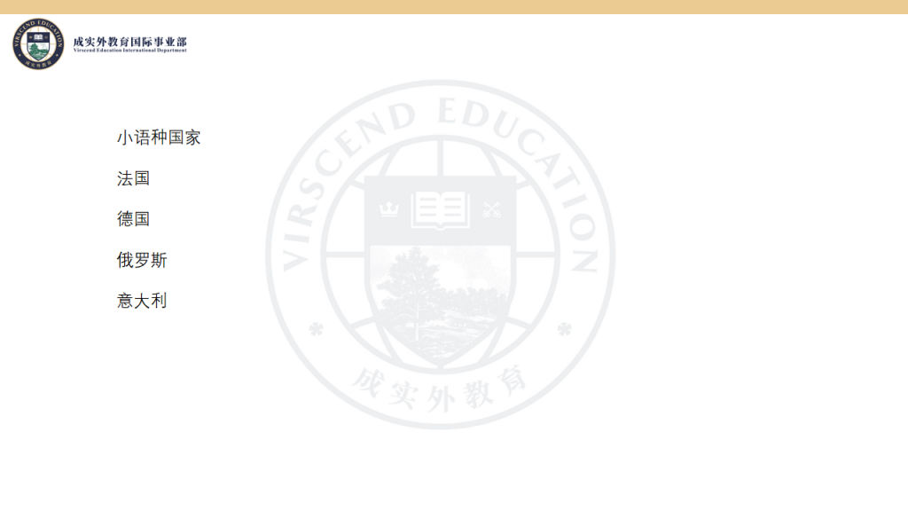 成实外国际教育简介