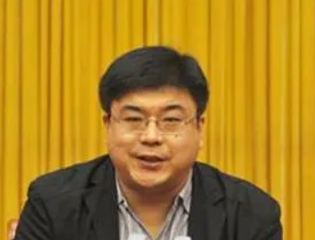 财政专家张鹏个人简历