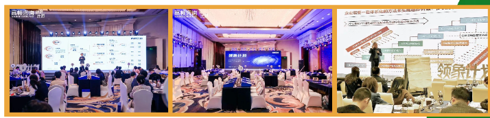 高顿咨询2025领象计划