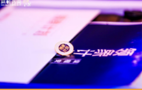 领象计划什么意思?