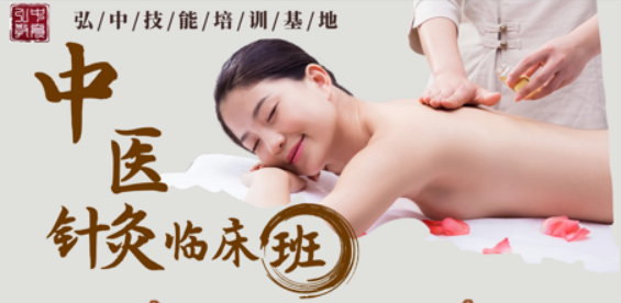 中医针灸临床班