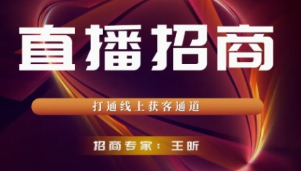 2025年直播招商课程设计介绍