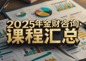 2025 年金财财税课程咨询介绍