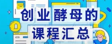 2025 年创业酵母收费情况