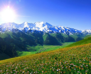 新疆历史文化类研学介绍