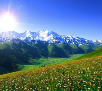 新疆文化研学课程有哪些？