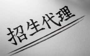 2025年it招生代理网站有哪些？