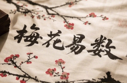 2025年梅花易数系列课程详情