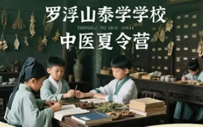 中医夏令营有用吗：培养健康生活的未来之星