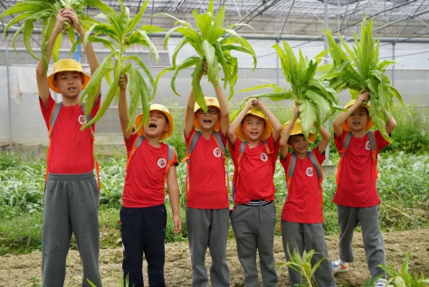 2025 年郑州，天津，山西，泉州，成都，合肥中医少年夏令营研学推荐