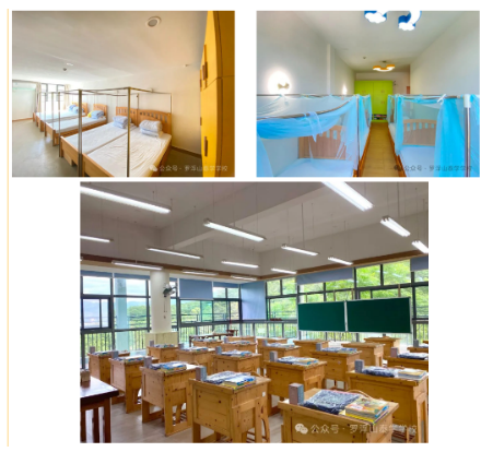 2025 年日照，杭州，青岛，新乡，福建中医小孩少年夏令营研学推荐