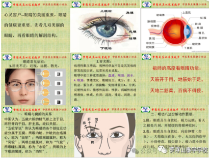 2025 年儿童中医夏令营推荐