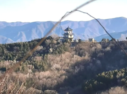 北京凤凰岭两天一晚轻断食·山林静心