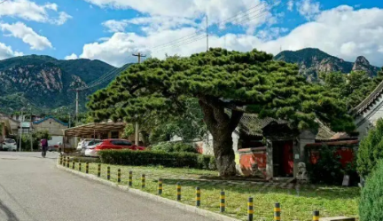 北京凤凰岭两天一晚轻断食·山林静心