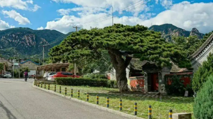 北京凤凰岭5天4晚轻断食辟谷静修