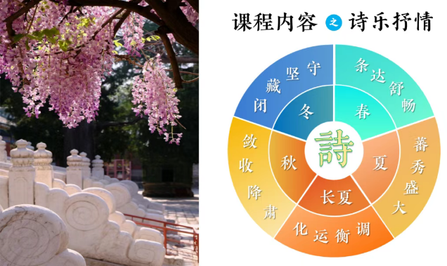 2025 年北京国子监孔庙国学夏令营推荐