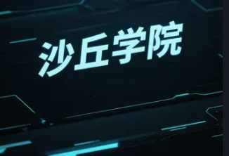 沙丘商学院老师如何？