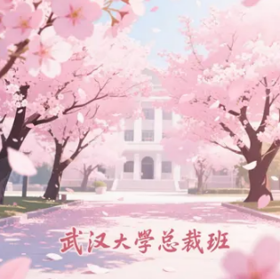 武大总裁研修班介绍