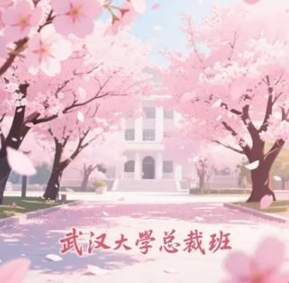 武大总裁班好不好？