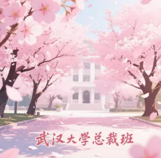 武大总裁班学时介绍