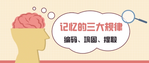 家长必看：脑科学揭秘孩子记不住东西的底层原因