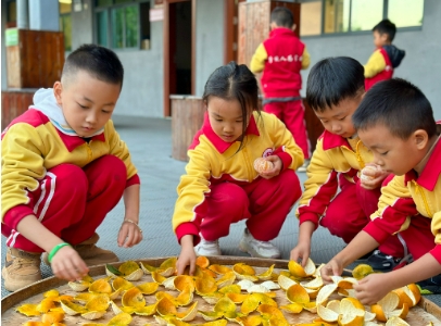 中医夏令营培训亮点是什么？