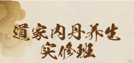 苏华仁内丹的功效是什么？