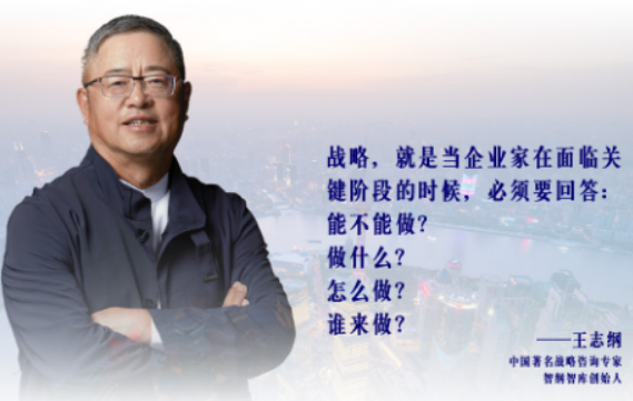 王志纲的战略解读是什么?