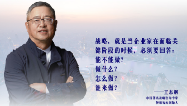 王志纲战略解读