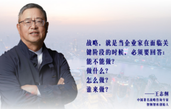 战略大师王志纲简介