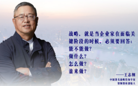 王志纲论战略怎么样?