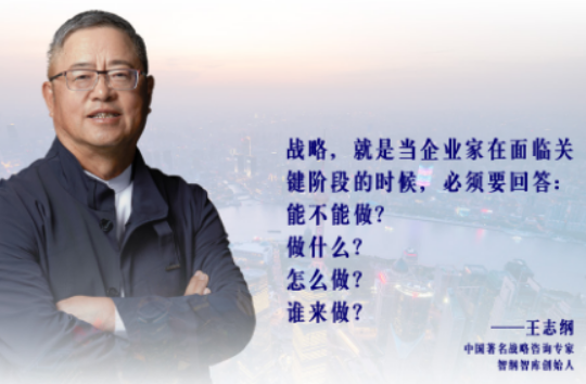 王志纲教育培训：赋能商业战略思维的灯塔
